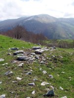 Ugagibelgo gailurra eta Auztarri