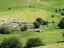 Entremedio txabola tumularra