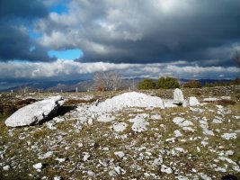 Etxarriko Portugañe 1 trikuharria
