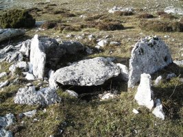 Etxarriko Portugañe 1 trikuharria