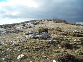 Etxarriko Portugañe 1 trikuharria