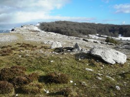 Etxarriko Portugañe 1 trikuharria