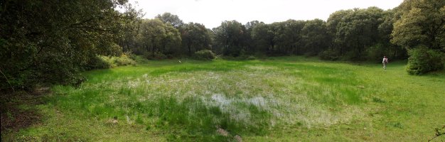 Ur putzua Eraulgo bidean