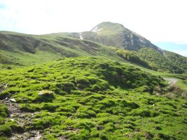 Ibarrondoa etxola hondoa