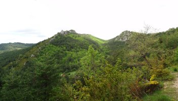 Olotoki eta Errezlanda, Ligerieta lepoak berezita