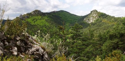 Olotoki eta Errezlanda, Ligerieta lepoak berezita
