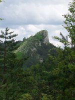 Aldu pinudietan gailentzen