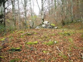 Ithe II ipar trikuharria