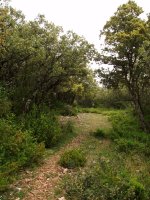 Etxauriko mendateko bidea