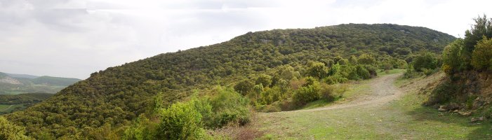 Oiakarizketa eta Salinas-Jaitzeko pista