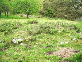 Argibele III trikuharria