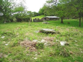 Argibele  IV trikuharria