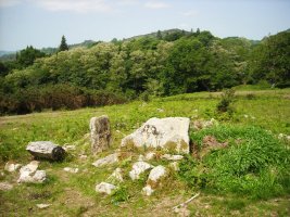 Faageko Erreka trikuharria