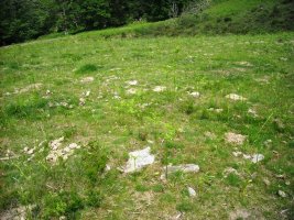 Faageko Erreka Ipar harrespila