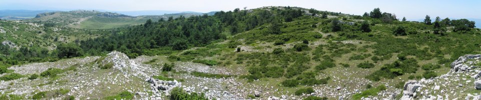 Tontorra eta inguruak