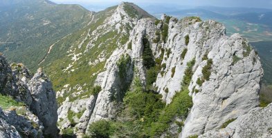 Mendebaldeko gandorra tontorretik