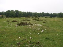 Arantzaduia, eremu tumularra