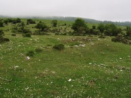 Arantzaduia, eremu tumularra