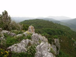 Lirain Artze gaineko labarretatik