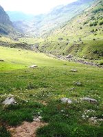 Mallo Blanco Sur harrespila