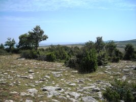 Larrola  tumulo de anillo