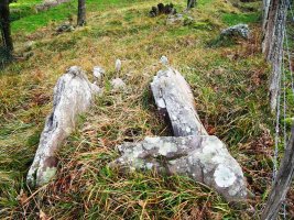 Zulubiko Erreka trikuharria