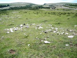 Ikomarko Sakana tumulua