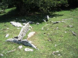 Saguain 1 trikuharria