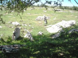 Saguain 1 trikuharria