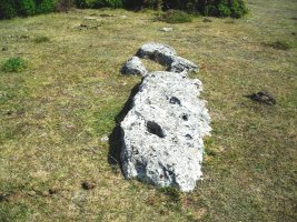 Las Campanas zutarria