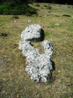 Las Campanas zutarria