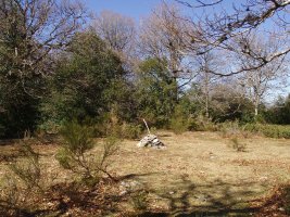 Bizkailuzko gailurra