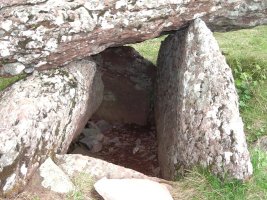 Atxar de Aguas Tuertas trikuharria