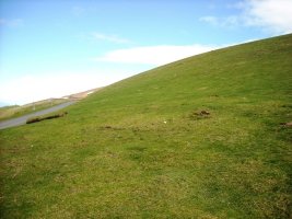 Murkuilako Lepoa harrespila