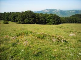 Erdikolarre eremu tumularra