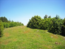 Zanaz  2  trikuharria