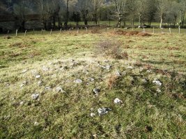 Mendigaña eremu tumularra