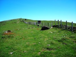 Uztanborro  trikuharria