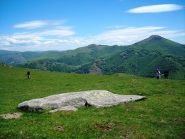 Argintzuko Lepoa 1 zutarria