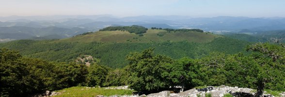 Urdanatzko bizkar luzea Goitiko Gainatik