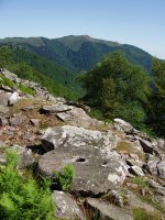 Ahantzitako errotarria eta atzean, Xuriain