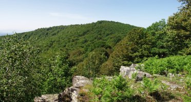 Goitean Leateko gailurretik