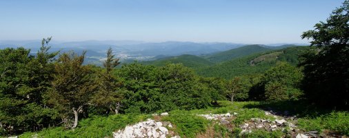 Ultzamako ibarra, basoko argiune batetik