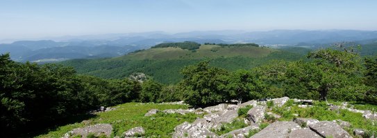 Urdanatz, basoko argiune batetik