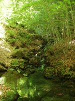 Zugarrandiko erreka, Iragi herriaren inguruan