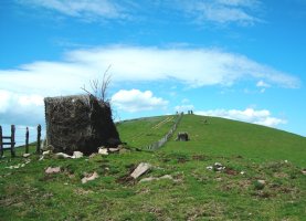 Buztanberro 1  harrespila