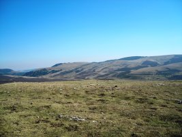 Elortxikia tumulo de anillo