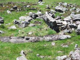 Luurzu 3 trikuharria