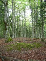 Baltsazarrako gailurra (1302m)