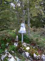 Malgorrako txartelontzia